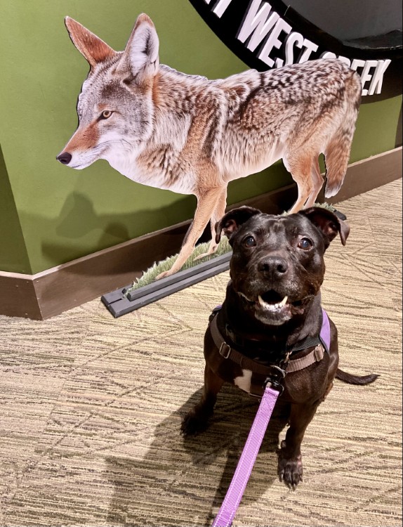 Luna on a field trip